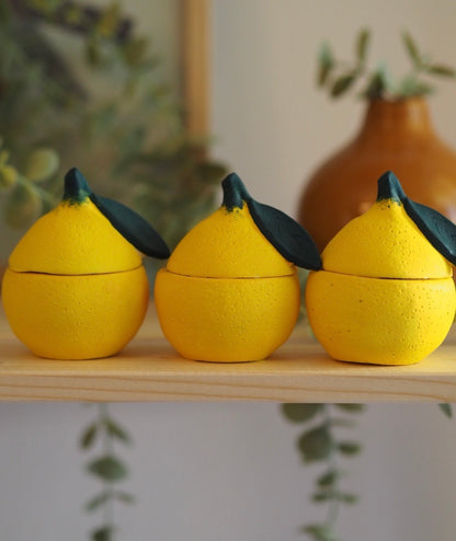 Χειροποίητο Τσιμεντένιο Δοχείο Lemon