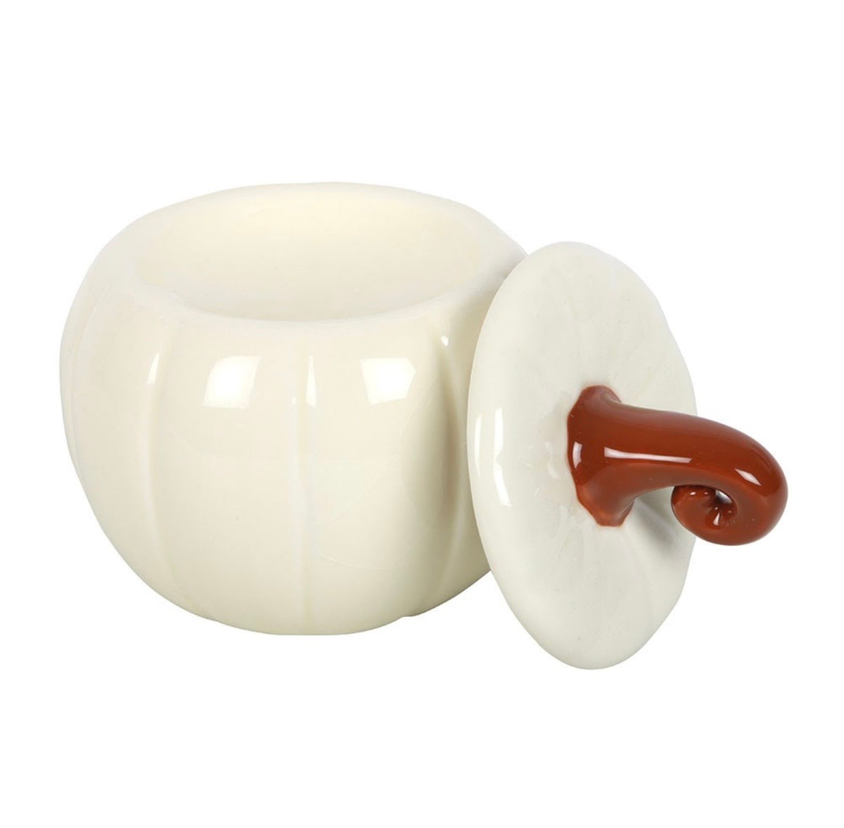 White Curly Pumpkin Wax Burner