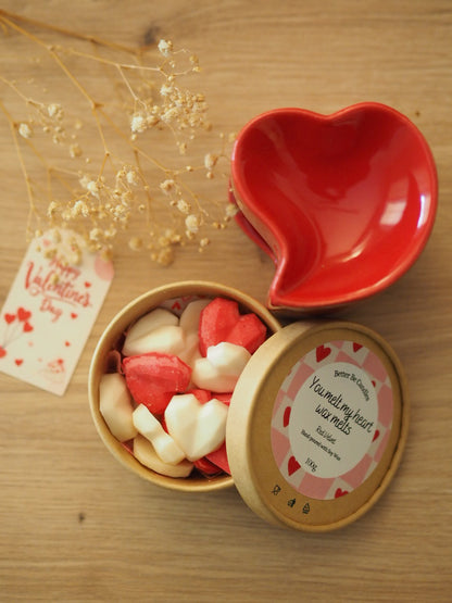 Red Heart Wax Melter