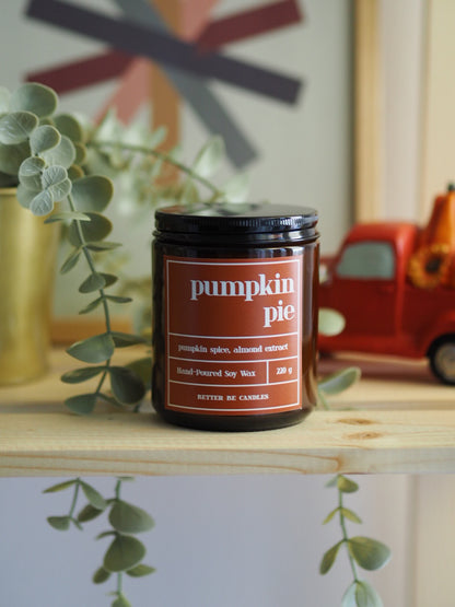 Cinnamon Roll Giga 450g| Φυτικό Κερί Σόγιας